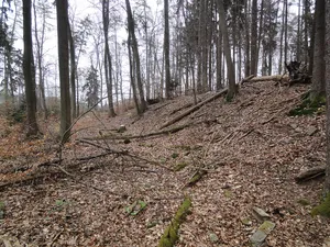Burg Rambach
