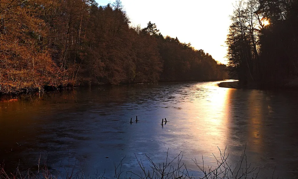 Hammerwoog, Kaiserslautern