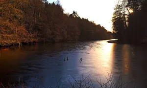 Blechhammerweiher