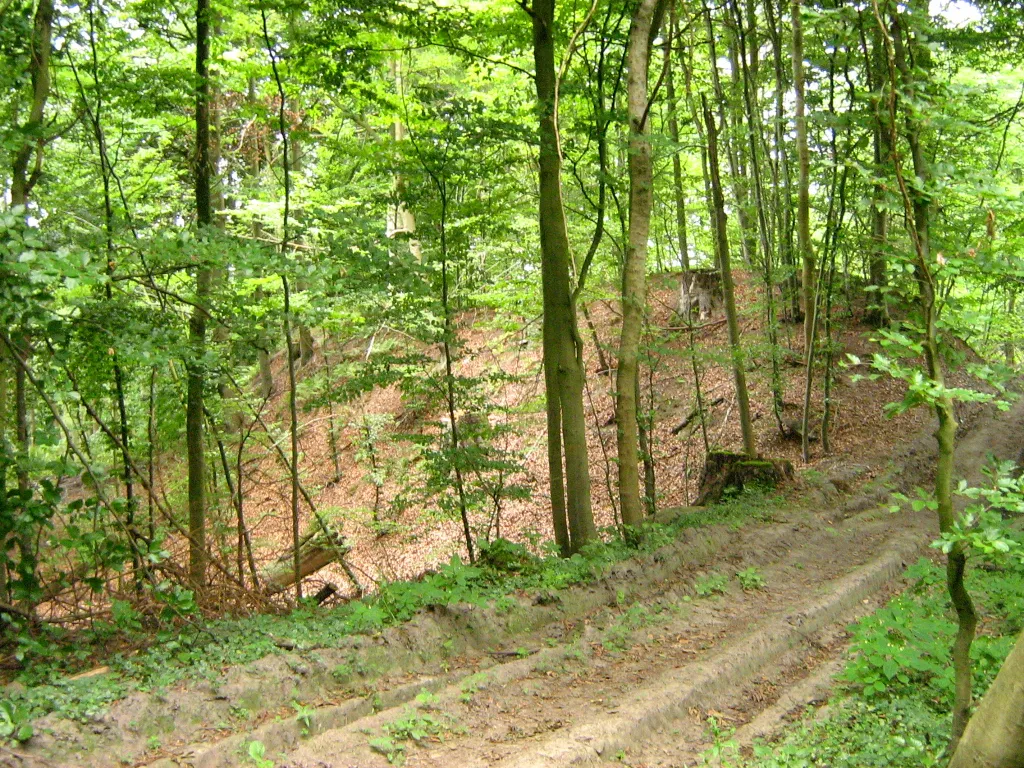 Die Lieper Burg ist ein Burgwall in der Gemeinde Thelkow im Landkreis Bad Doberan (Mecklenburg). Sie ist eine frühslawische Höhenburg aus dem 8. Jh.