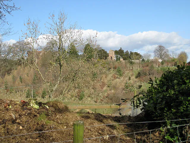 View across a tree plantiation to the former parish church of the Holy Trinity, Brockhampton, Herefordshire