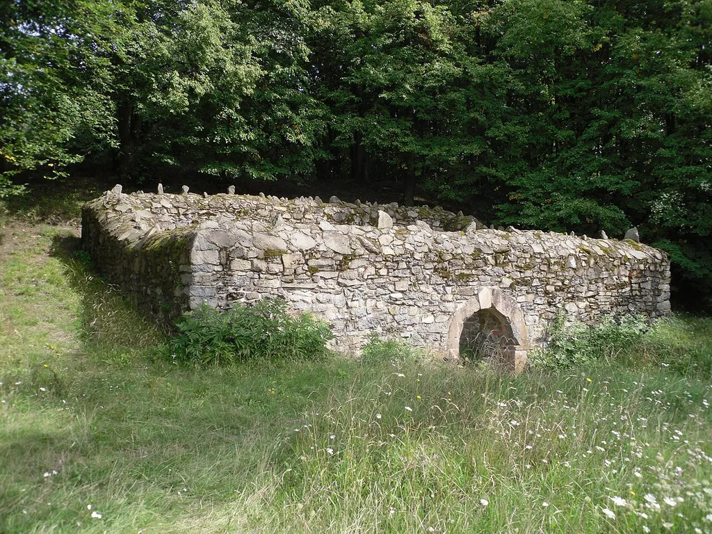 Ruins of a medieval castle building on Glauberg (Celtic settlement)