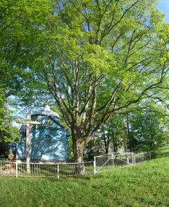 Holy Trinity church, Monastyrok
