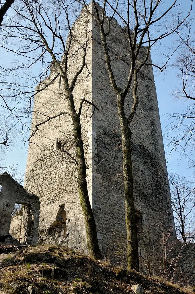 Burgruine Pottenburg