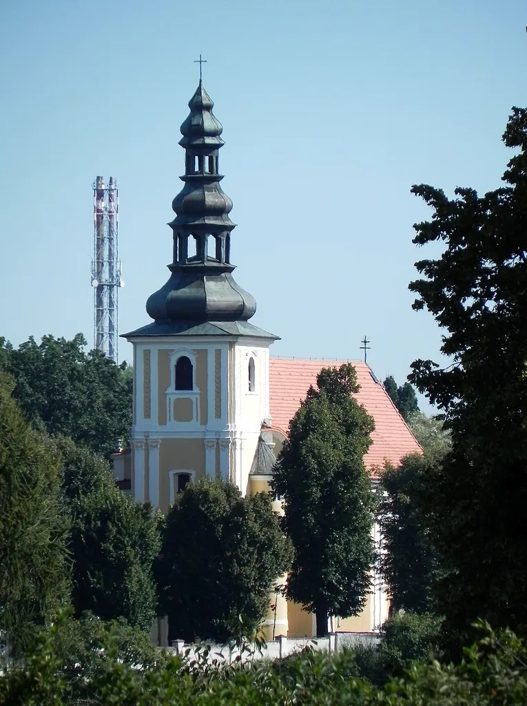 Ząbkowice Śląskie, kościół par. p.w. św. Jadwigi, poł. XVIII