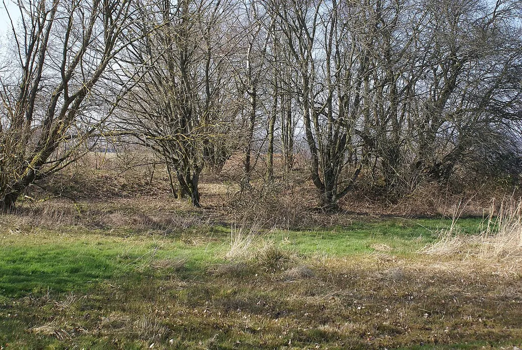 Huppenbroich Befestigung_Meyssenburg, Wüstung