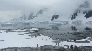 Pleneau Island