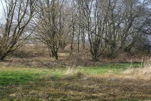 Meyssenburg