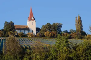 Alte Kirche Höngg