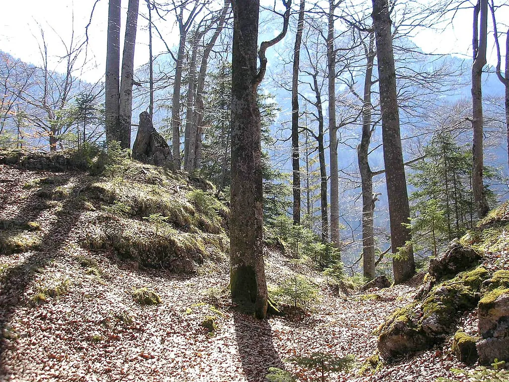 Former Frauenstein castle (Schwangau, Landkreis Ostallgäu, Bavaria, Germany). The moat of the central castle