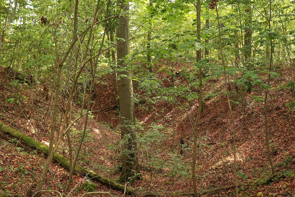 Graben zwischen westlicher Vorburg und Hauptburg der Burg Endsee