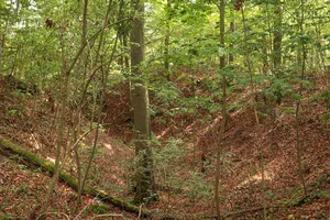 Burgstall Altes Schloss