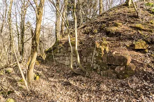 Burg Wiesbach