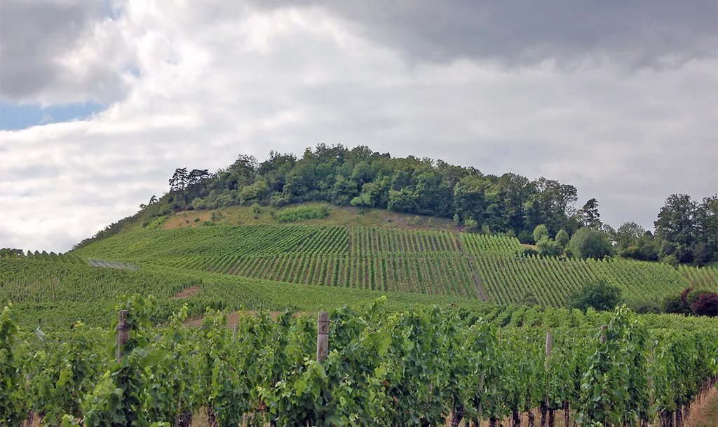 Eselsberg mit Burgstall über Ensingen (von Südosten)