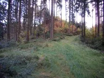 Burgruine Säbnich