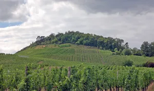 Burg Eselsberg