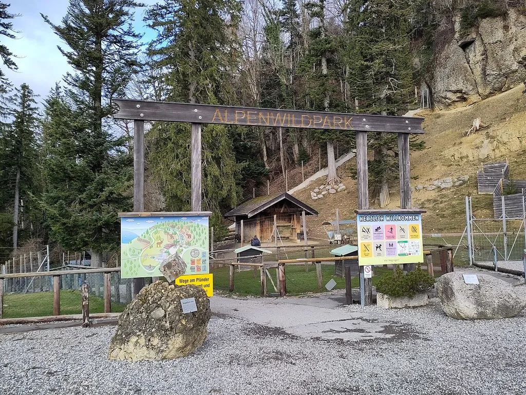 Alpine Wildlife Park Pfänder