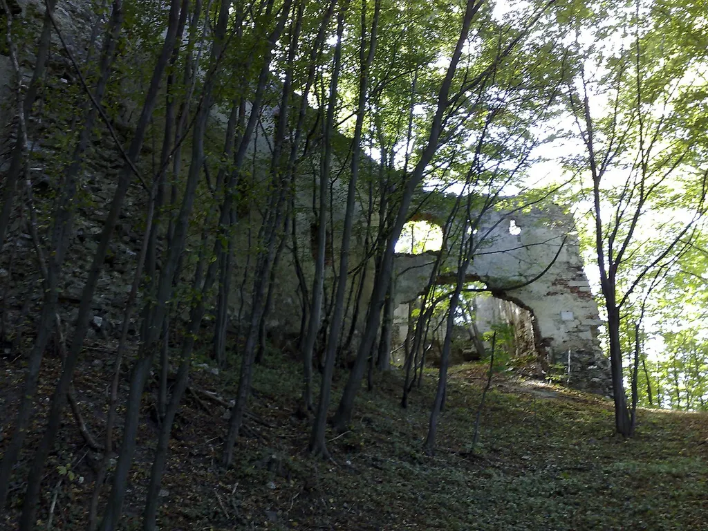 Die nord-östliche Seite der verfallen Burg Schwarzenbach in Niederösterreich