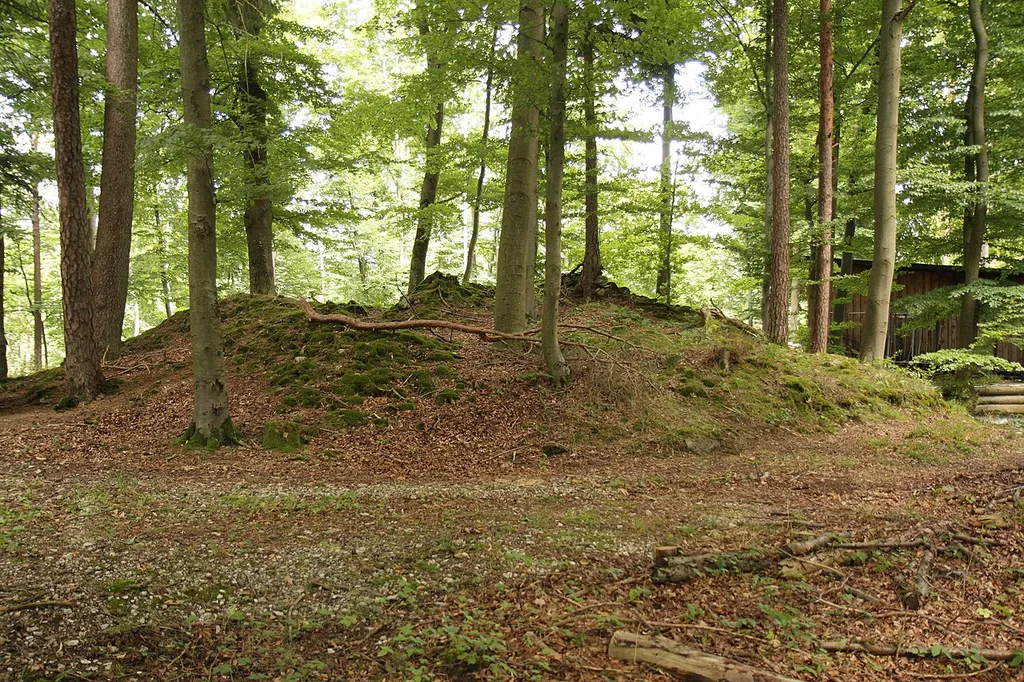 Burgstall Breitenthal - Ansicht der Turm-Ruine