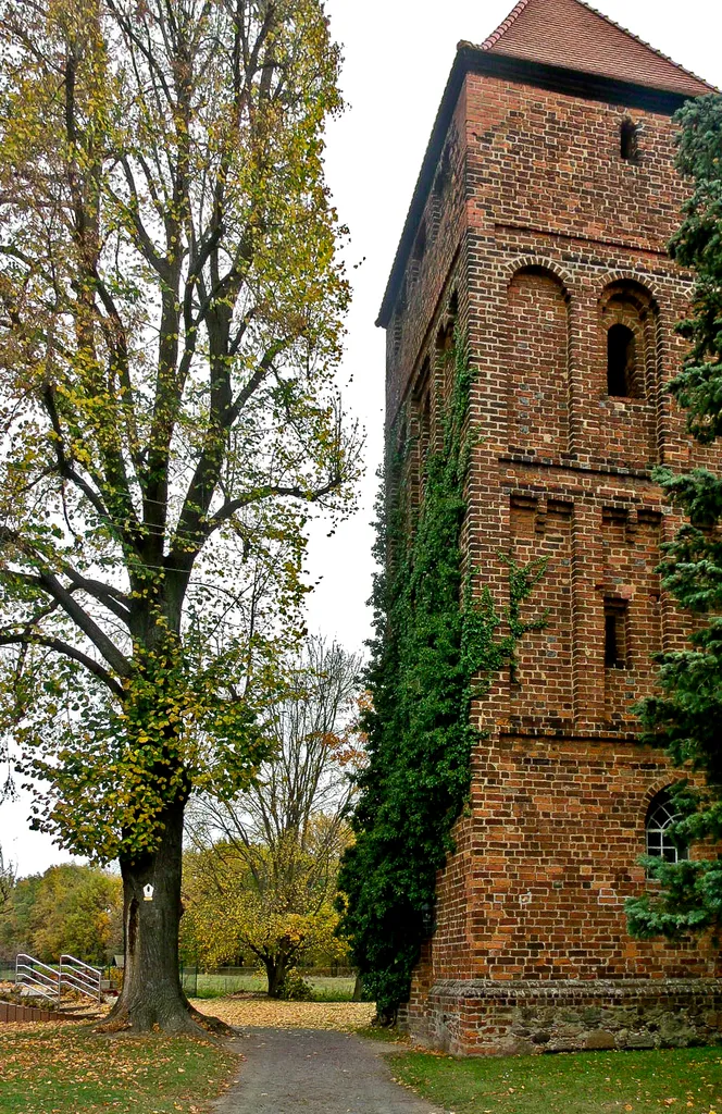 Eine unter Naturschutz stehende Winterlinde, Madlower Schulstraße, Cottbus (ND 73)
