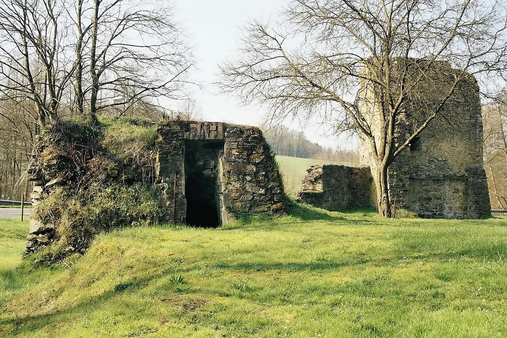 Burgruine Herrenbröl in Ruppichteroth, Zugang zum Gewölbekeller
