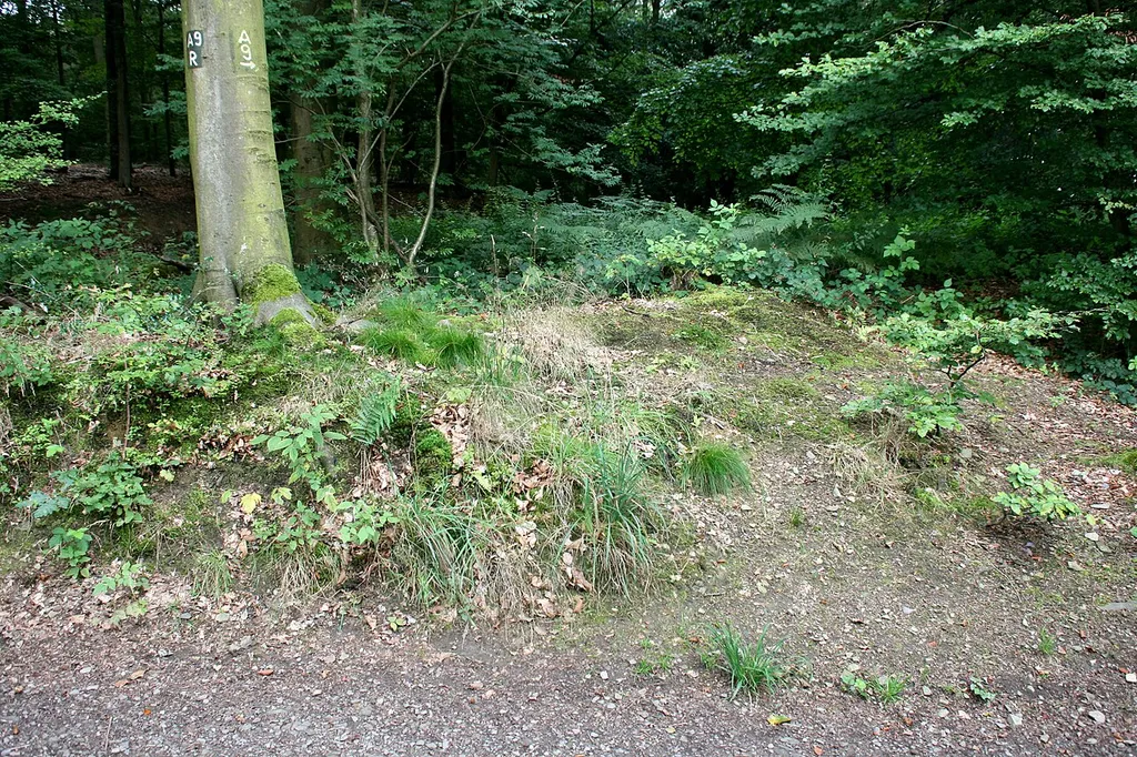 „Wallburg bei Müngsten“ oder „Wallanlage Güldenwerth“, Wallburgstraße in Remscheid