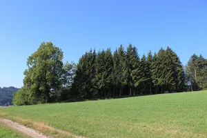 Burghügel Hushalden