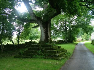 Roadside Preaching Cross To South West Of Church
