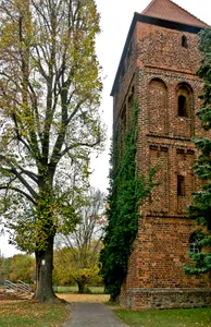 Naturdenkmal [[Linden (Gattung)|Linde]]-[[Winterlinde]] (''Tilia cordata'') Madlower Schulstraße 2, vor Martinskirche in Madlow