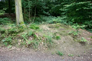 Wallburg bei Müngsten