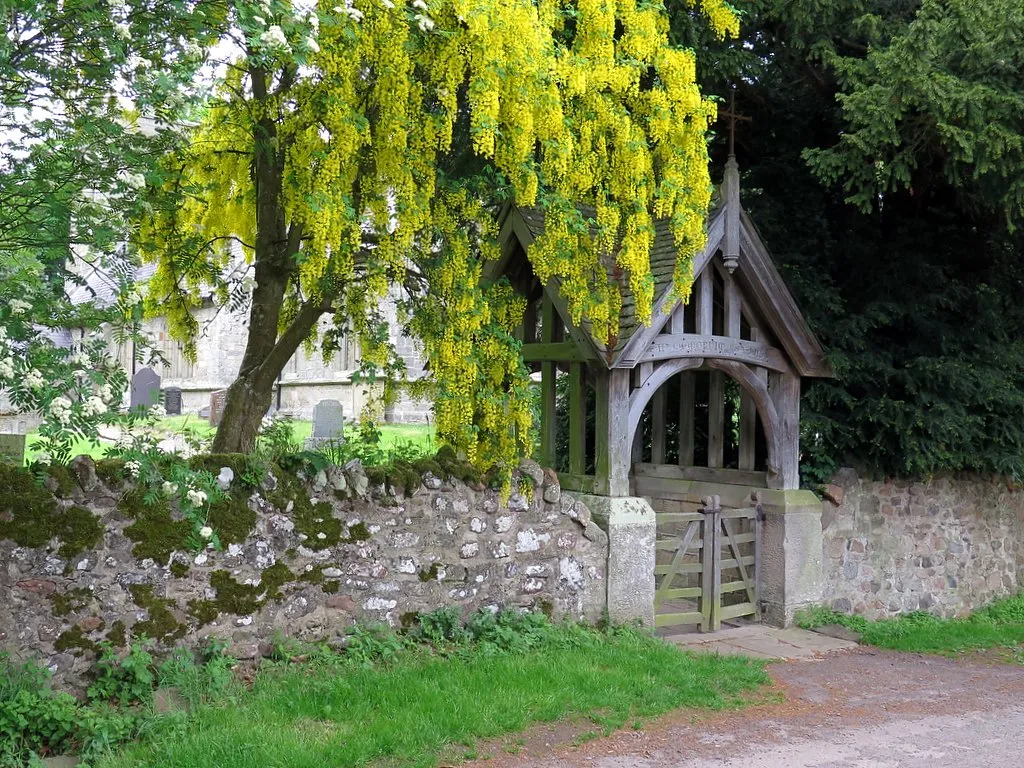 Lych Gate &amp; Laburnum, Ingram