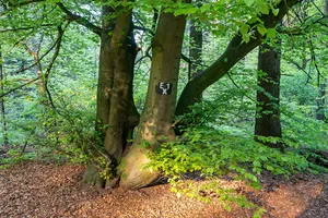 Naturpark Eggegebirge und Teutoburger Wald