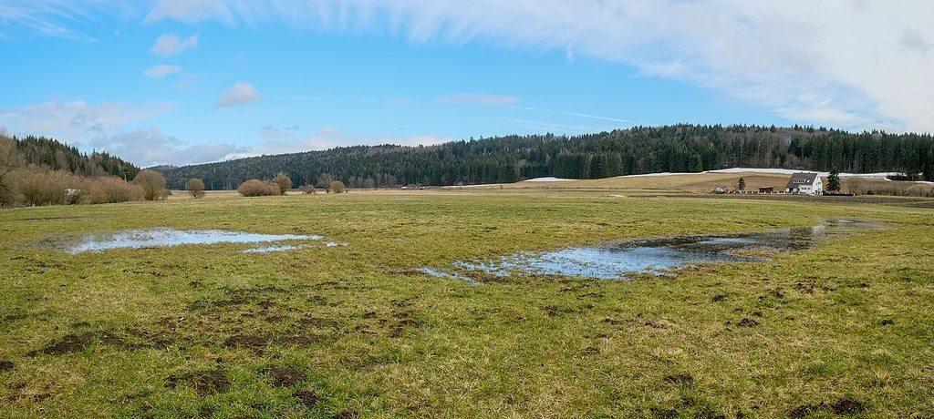 NOTE: This image is a panorama consisting of multiple frames that were merged or stitched in software. As a result, this image necessarily underwent some form of digital manipulation. These manipulations may include blending, blurring, cloning, and colour and perspective adjustments. As a result of these adjustments, the image content may be slightly different from reality at the points where multiple images were combined. This manipulation is often required due to lens, perspective, and parallax distortions.