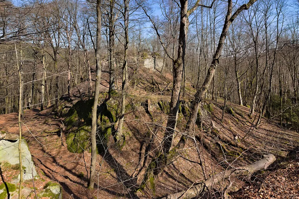 The remains of Hattstein castle between Oberreifenberg and Schmitten (Taunus), Germany. Only the neck ditch in the foreground and some parts of the walls (like the one seen here on the right side of the top of the hill) are visible today. View in north-eastern direction.