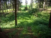 Burgstall Nößlbach