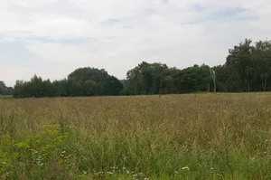 Schmiedebruch