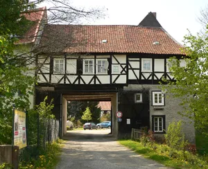 Burgruine Vienenburg