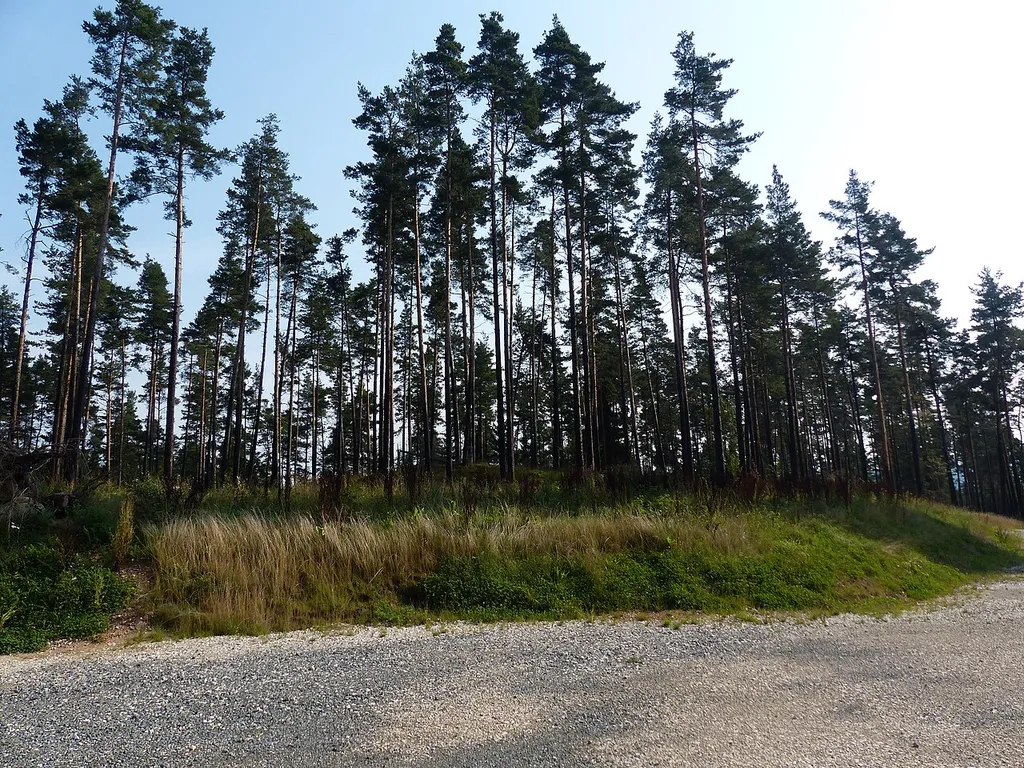 Spuren des Burgstalls am Schlossberg, Gipfelbereich