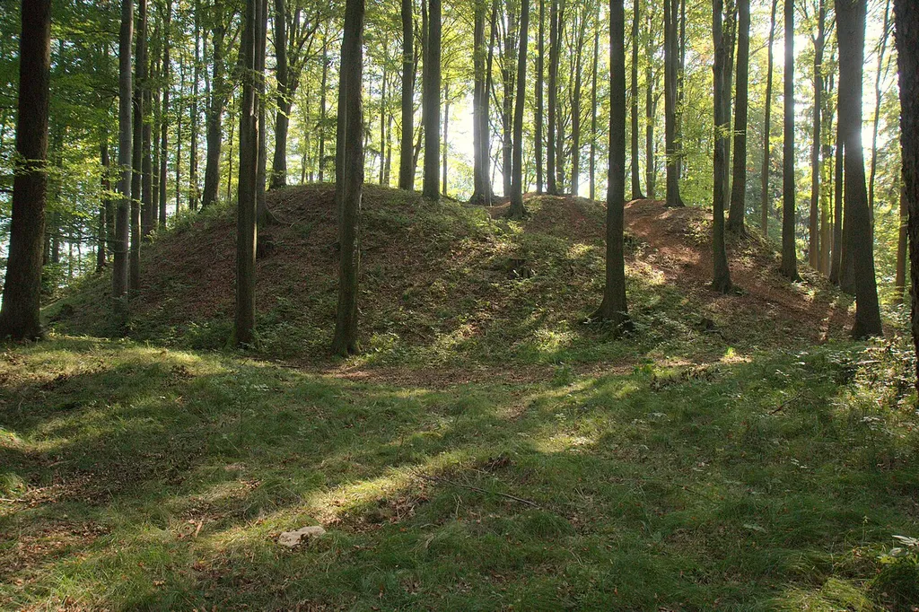 Burgstall Heinrichsbürg - Ansicht des Burghügels