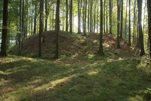 Burgruine Heinrichsbürg