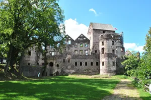 Świny Castle