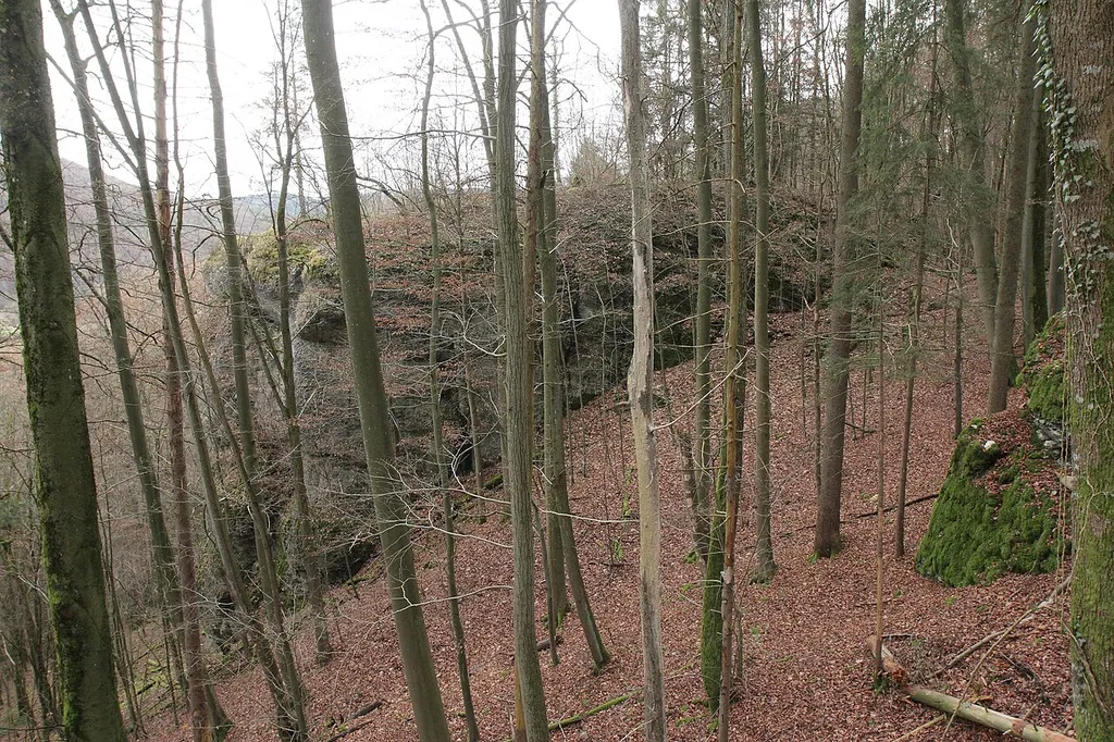 Burgstall Altes Schloss