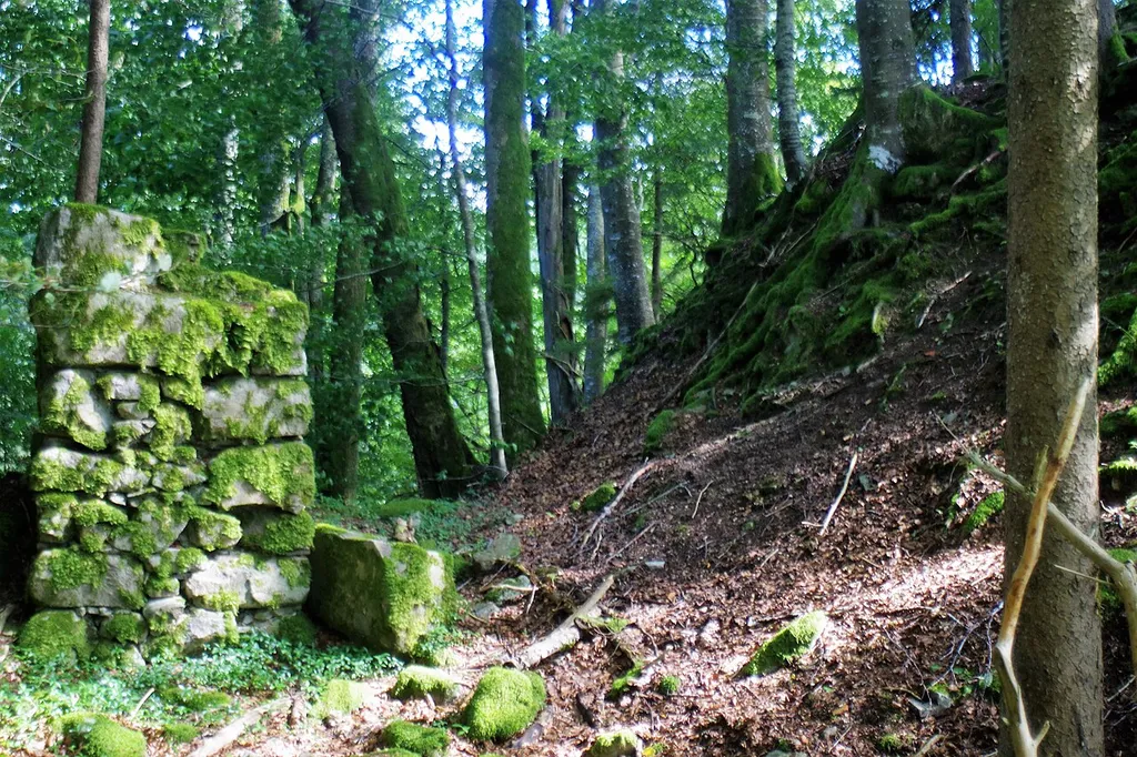 Ruine Mandach