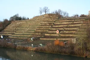 Burg Freienstein (Münster)