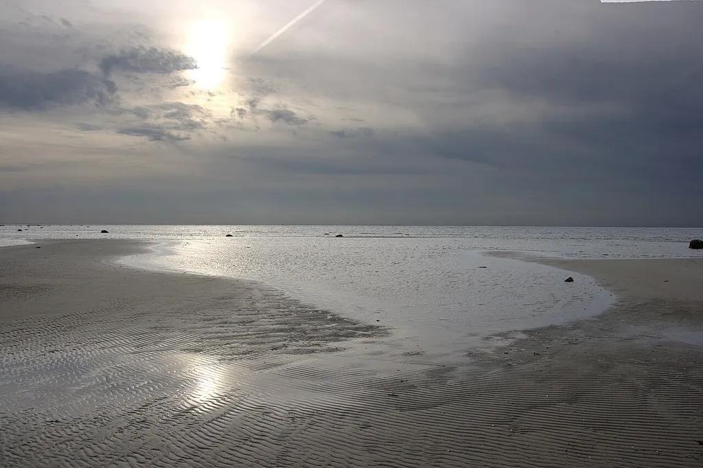 Bild tagen i naturreservatet Salvikens Strandängar en sen eftermiddag. Viss efterredigering i datorn.