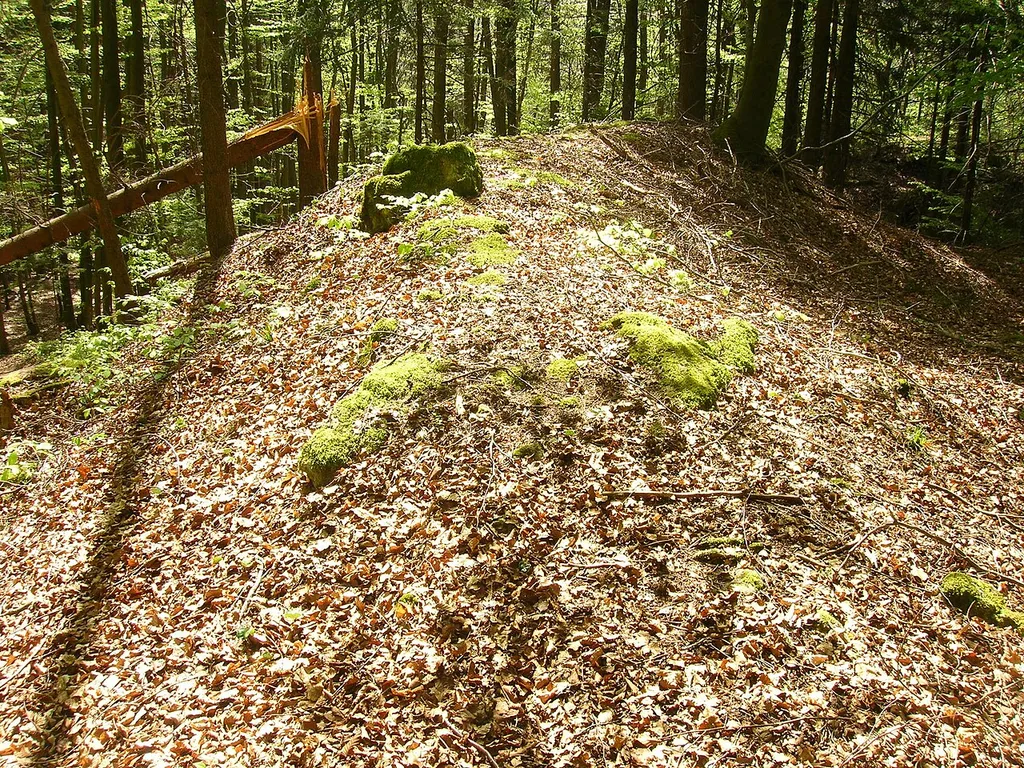 Abschnittsbefestigung Burggraf