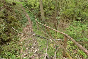 LSG innerhalb des Naturparks Bayerischer Odenwald (ehemals Schutzzone)