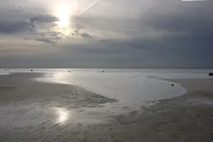 Salvikens strandängar