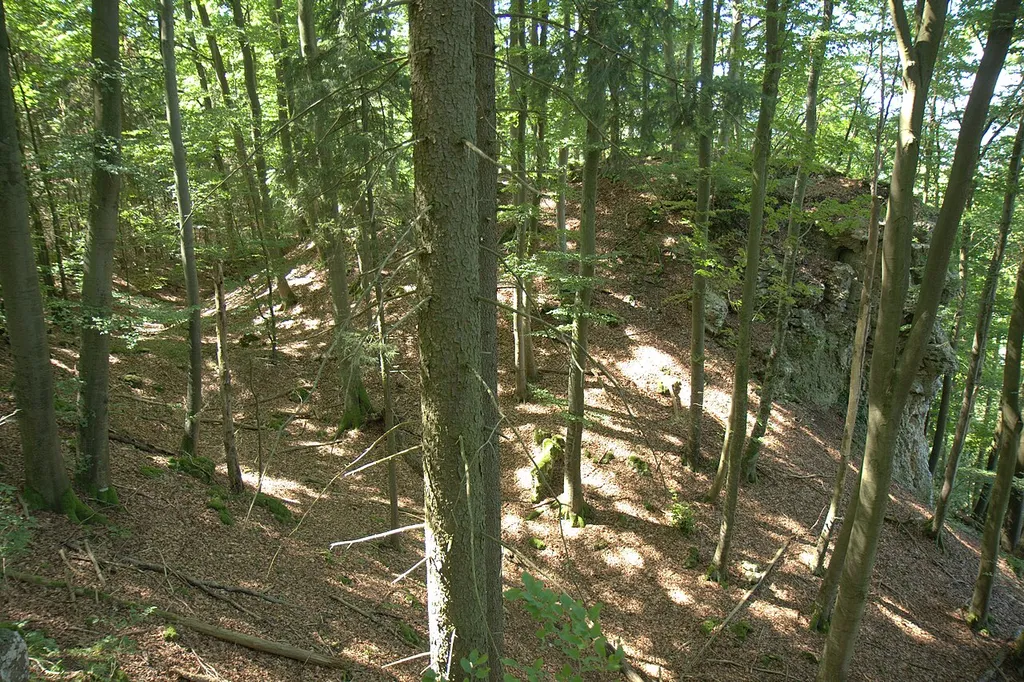 Burgstall Saufelsen - Ansicht aus östlicher Richtung