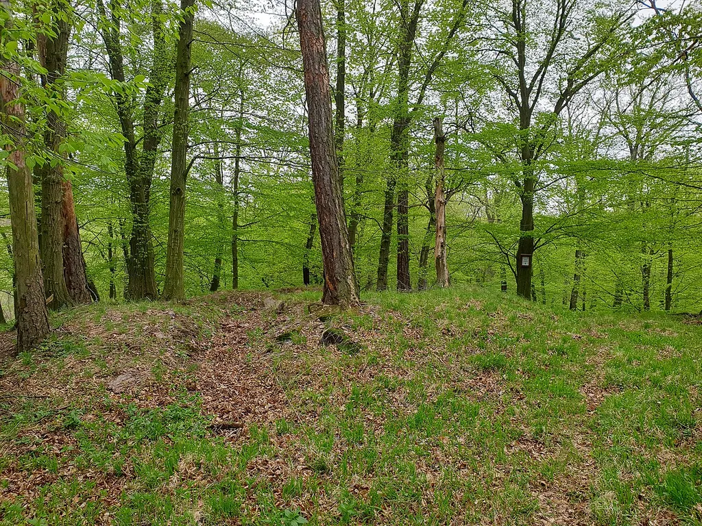 Starý Plumlov